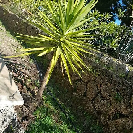 Apartamento 86 Avenue Des Bois